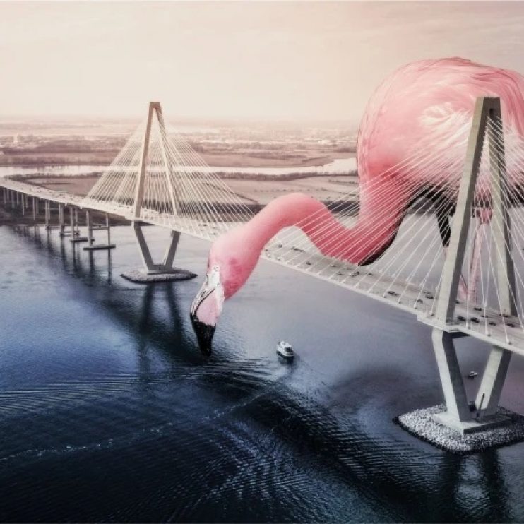 طراحی فتومونتاژ چیست؟